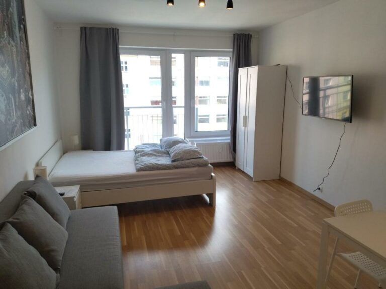 Studio apartment #31